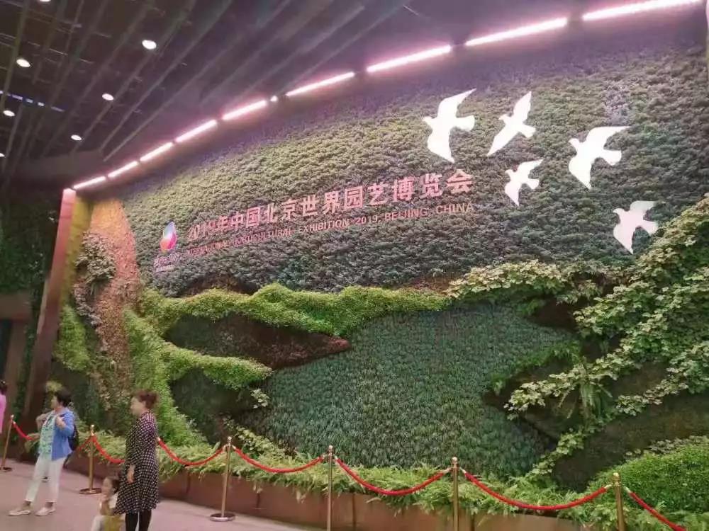 金秋团建之旅——爱在赏金国际